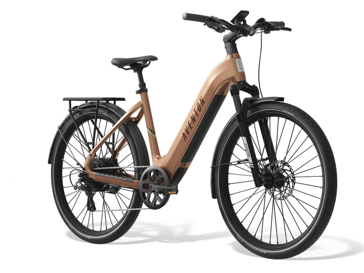 Level 3 Ebike