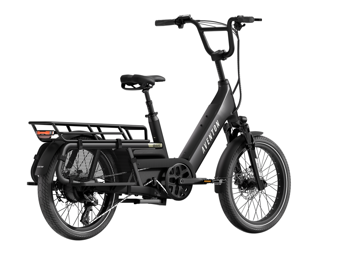 Abound LR Ebike