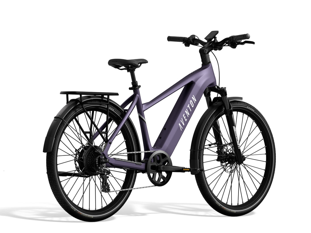Level 3 Ebike