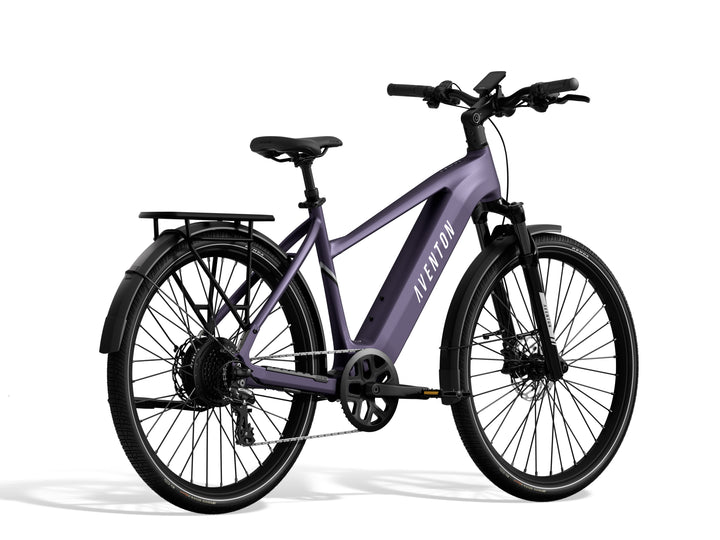 Level 3 Ebike