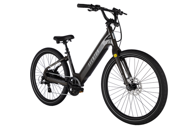 Rental - Ebike