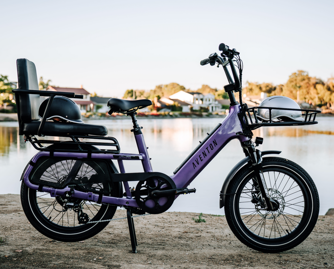 Abound SR Ebike
